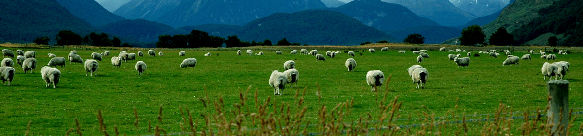 Agricultural